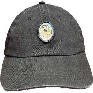 Family Guy Hat